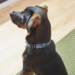 Frisco Hawaii Nights Dog Collar -FRISCO Sales 264067 PT3. SY630 V1616768846