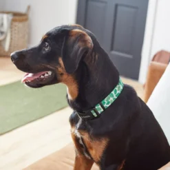 Frisco Spring Leaves Dog Collar 9 Frisco Spring Leaves Dog Collar -FRISCO Sales 264094 PT3. SY630 V1616776106