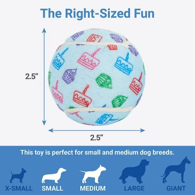 Frisco Birthday Tennis Ball Squeaky Dog Toy, 3 count 4 Frisco Birthday Tennis Ball Squeaky Dog Toy, 3 count - Image 2