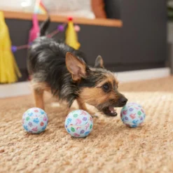Frisco Birthday Tennis Ball Squeaky Dog Toy, 3 count 7 Frisco Birthday Tennis Ball Squeaky Dog Toy, 3 count -FRISCO Sales 264419 PT3. SY630 V1619474144