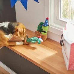 Frisco Birthday Cactus Plush Squeaky Dog Toy, 3 count 7 Frisco Birthday Cactus Plush Squeaky Dog Toy, 3 count -FRISCO Sales 264426 PT3. SY630 V1619474032