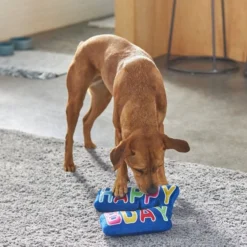 Frisco Happy Birthday Plush Dog Toy -FRISCO Sales 264428 PT3. SY630 V1619474117