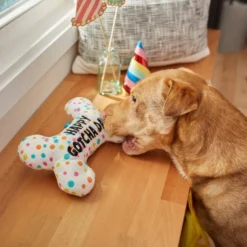 Frisco Birthday Reversible Plush Bone Squeaky Dog Toy 9 Frisco Birthday Reversible Plush Bone Squeaky Dog Toy -FRISCO Sales 264432 PT3. SY630 V1619474112