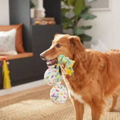 Frisco Birthday Balloon Bouquet Plush with Rope Squeaky Dog Toy -FRISCO Sales 264440 PT3. SY630 V1619474100