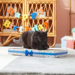 Frisco Birthday Scratcher Cat Toy -FRISCO Sales 264452 PT3. SY630 V1618948652