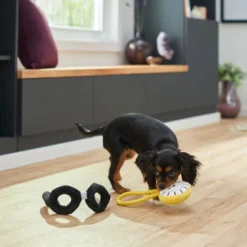 Frisco Magic Pocket Watch & Glasses Plush Squeaky Dog Toy, 2 count -FRISCO Sales 265590 PT3. SY630 V1620938935