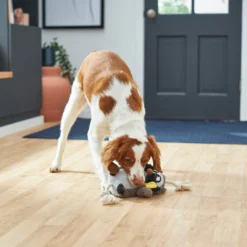 Frisco Magic Owl Plush with Rope Squeaky Dog Toy -FRISCO Sales 265594 PT3. SY630 V1620939104