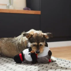 Frisco Magic Owl Plush Squeaky Dog Toy -FRISCO Sales 265596 PT3. SY630 V1623352167