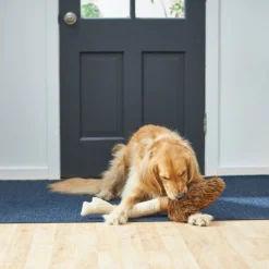 Frisco Magic Broom Plush Squeaky Dog Toy -FRISCO Sales 265598 PT3. SY630 V1620938980