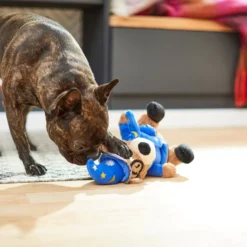 Frisco Magic Wizard Bear Plush Squeaky Dog Toy -FRISCO Sales 265604 PT3. SY630 V1623352109