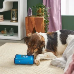 Frisco Magic Spell Book Plush Squeaky Dog Toy -FRISCO Sales 265608 PT3. SY630 V1620939089