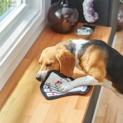 Frisco Magic Lucky Aces Flat Plush Squeaky Dog Toy -FRISCO Sales 265612 PT3. SY630 V1620938989