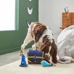 Frisco Magic Chest Hide & Seek Puzzle Plush Squeaky Dog Toy 9 Frisco Magic Chest Hide & Seek Puzzle Plush Squeaky Dog Toy -FRISCO Sales 265614 PT3. SY630 V1620939136