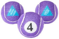 Frisco Magic Fortune Fetch Squeaky Tennis Ball Dog Toy, 3 count