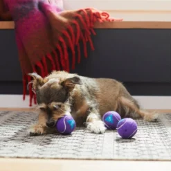 Frisco Magic Fortune Fetch Squeaky Tennis Ball Dog Toy, 3 count -FRISCO Sales 265620 PT3. SY630 V1623352072