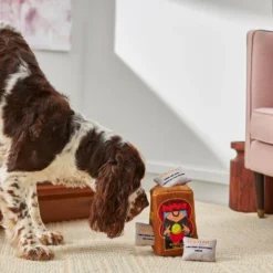 Frisco Magic Fortune Teller Hide & Seek Puzzle Plush Squeaky Dog Toy -FRISCO Sales 265630 PT3. SY630 V1620938972