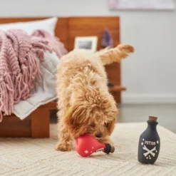 Frisco Magic Potions Latex Squeaky Dog Toy, 2 count -FRISCO Sales 265632 PT3. SY630 V1620939021