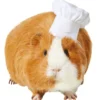 Frisco Chef Guinea Pig Costume Hat, One Size 1 Frisco Chef Guinea Pig Costume Hat, One Size -FRISCO Sales 265887 MAIN. SY630 V1624307870