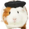 Frisco French Beret Guinea Pig Costume Hat, One Size -FRISCO Sales 265891 MAIN. SY630 V1624305182