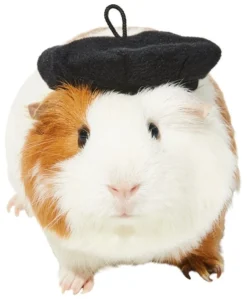 Frisco French Beret Guinea Pig Costume Hat, One Size