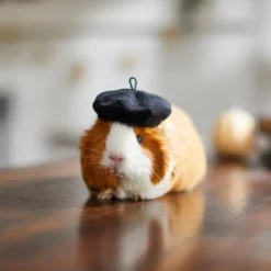 Frisco French Beret Guinea Pig Costume Hat, One Size -FRISCO Sales 265891 PT8. SY630 V1624337078