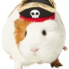 Frisco Pirate Guinea Pig Costume Hat, One Size 2 Frisco Pirate Guinea Pig Costume Hat, One Size -FRISCO Sales 265893 MAIN. SY630 V1624305451
