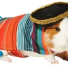 Frisco Serape Guinea Pig Costume, One Size