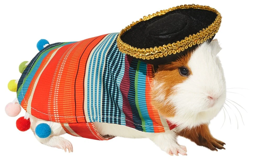 Frisco Serape Guinea Pig Costume, One Size 3 Frisco Serape Guinea Pig Costume, One Size