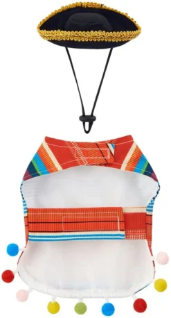 Frisco Serape Guinea Pig Costume, One Size 11 Frisco Serape Guinea Pig Costume, One Size -FRISCO Sales 265895 PT5. SY630 V1624304572