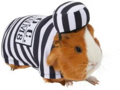 Frisco Prisoner Guinea Pig Costume, One Size