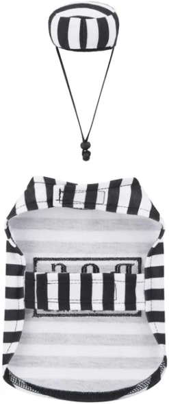 Frisco Prisoner Guinea Pig Costume, One Size -FRISCO Sales 265897 PT5. SY630 V1624304622