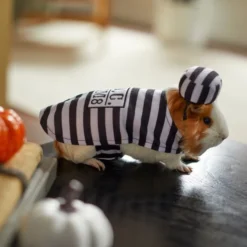 Frisco Prisoner Guinea Pig Costume, One Size -FRISCO Sales 265897 PT8. SY630 V1624339171