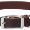 Frisco Top Grain Leather Collar 1 Frisco Top Grain Leather Collar -FRISCO Sales 266518 MAIN. SY630 V1618855352