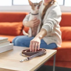 Frisco Top Grain Leather Leash -FRISCO Sales 266521 PT3. SY630 V1619536628