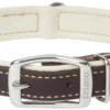 Frisco Two Tone Top Grain Leather Collar -FRISCO Sales 266526 MAIN. SY630 V1618855315