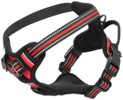 Frisco Padded Reflective Harness -FRISCO Sales 266762 PT4. SY630 V1624549109