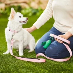 Frisco Traffic Leash with Padded Handles & Poop Bag Dispenser 12 Frisco Traffic Leash with Padded Handles & Poop Bag Dispenser -FRISCO Sales 266783 PT4. SY630 V1624543581