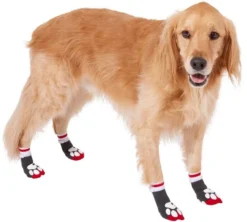 Frisco Non-Skid Dog Socks, Boho Geometric -FRISCO Sales 267949 PT2. SY630 V1628783563