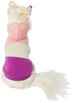 Frisco Colorblock Dog & Cat Hoodie with Sleeves -FRISCO Sales 267963 PT2. SY630 V1637709400