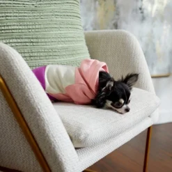 Frisco Colorblock Dog & Cat Hoodie with Sleeves -FRISCO Sales 267963 PT6. SY630 V1637683593