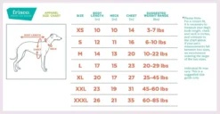 Frisco Floral Accent Dog & Cat Hoodie, Red -FRISCO Sales 268042 PT1. SY630 V1637686027