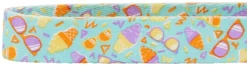 Frisco Ice Cream Party Dog Collar -FRISCO Sales 269469 PT2. SY630 V1619536974