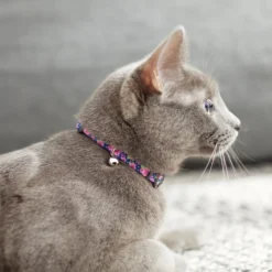 Frisco Midnight Floral Cat Collar, 8-12 Inches -FRISCO Sales 269490 PT4. SY630 V1617037508