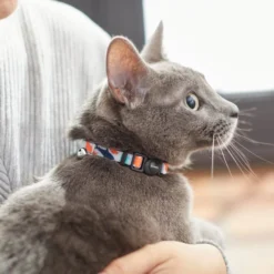 Frisco Spring Reef Life Collar, 8-12 Inches -FRISCO Sales 269500 PT4. SY630 V1617037320