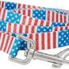 Frisco Americana Dog Leash -FRISCO Sales 269502 MAIN. SY630 V1619536062