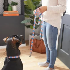 Frisco Americana Dog Leash -FRISCO Sales 269502 PT3. SY630 V1619536665