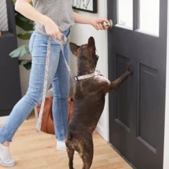 Frisco Traffic Signs Dog Leash -FRISCO Sales 269506 PT3. SY630 V1619535428