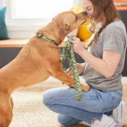 Frisco Tropical Bananas Dog Leash -FRISCO Sales 269522 PT3. SY630 V1619534324