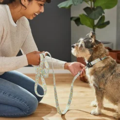 Frisco Ice Cream Party Dog Leash -FRISCO Sales 269549 PT3. SY630 V1619537401