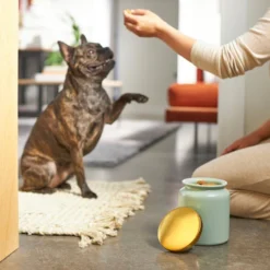 Frisco Modern Gold Rim Ceramic Treat Jar, 5 Cups -FRISCO Sales 270182 PT2. SY630 V1620761610